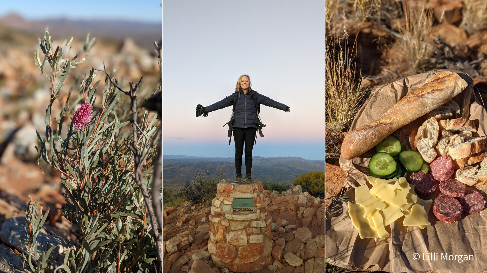 Scenes from the Larapinta Trail