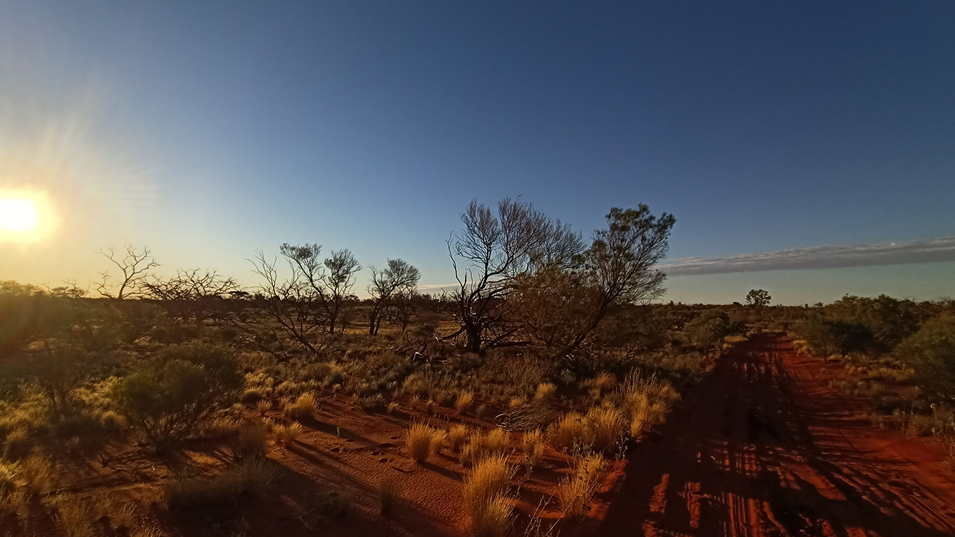 Roxby Downs desert