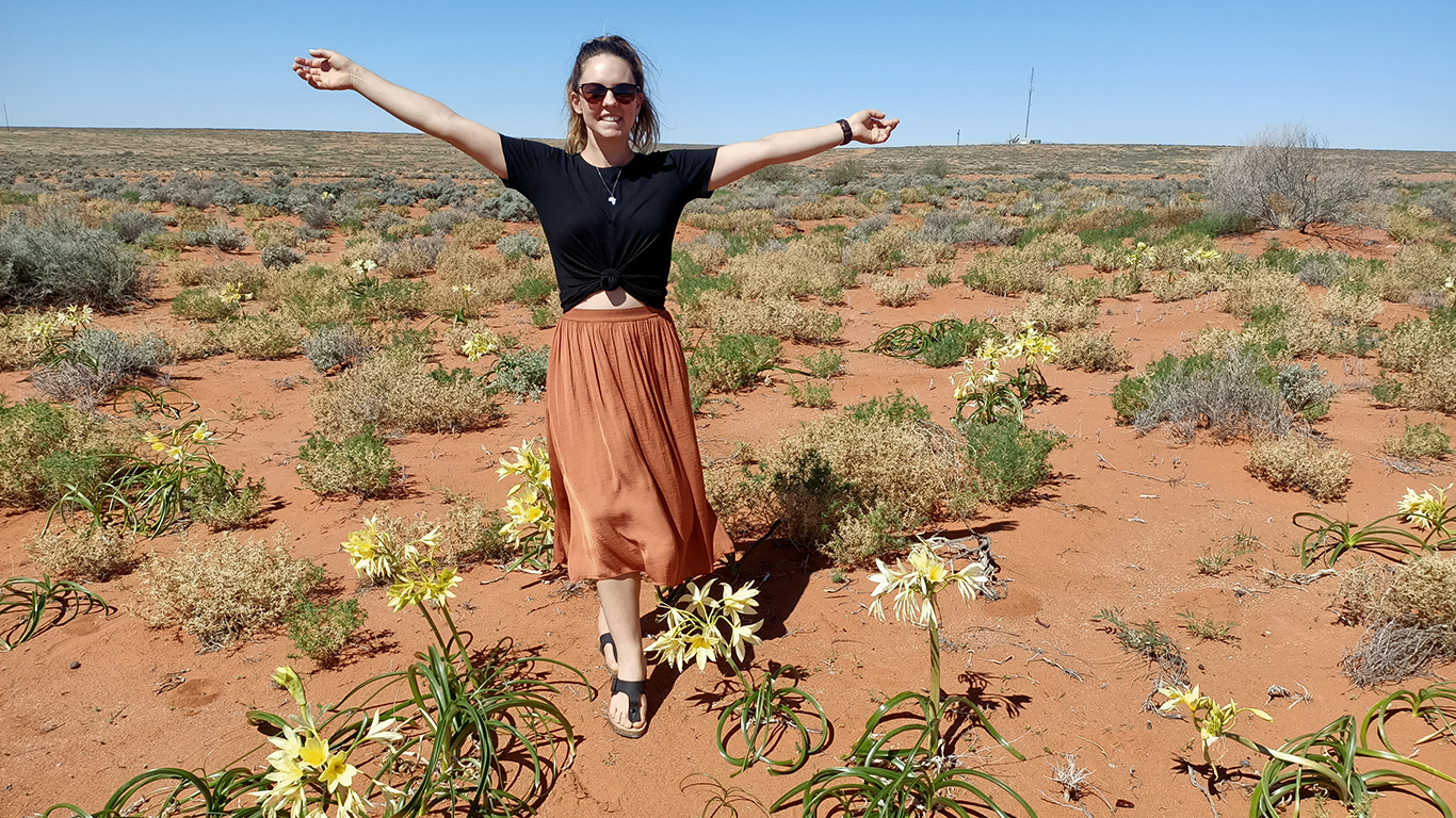 Wildflowers erupt in the South Australian desert